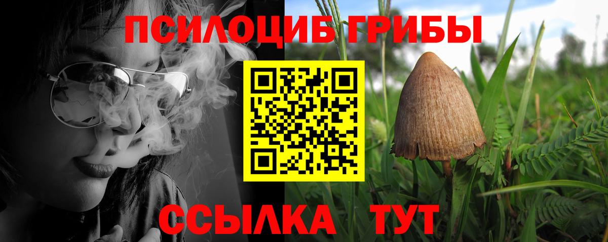 Красногорск  Галлюциногенные грибы Magic Shrooms  Псилоцибиновые грибы Magic Shrooms  Вход с VPN 